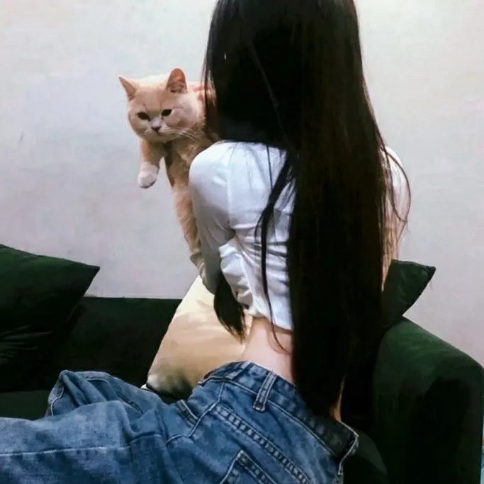 爱情洄游